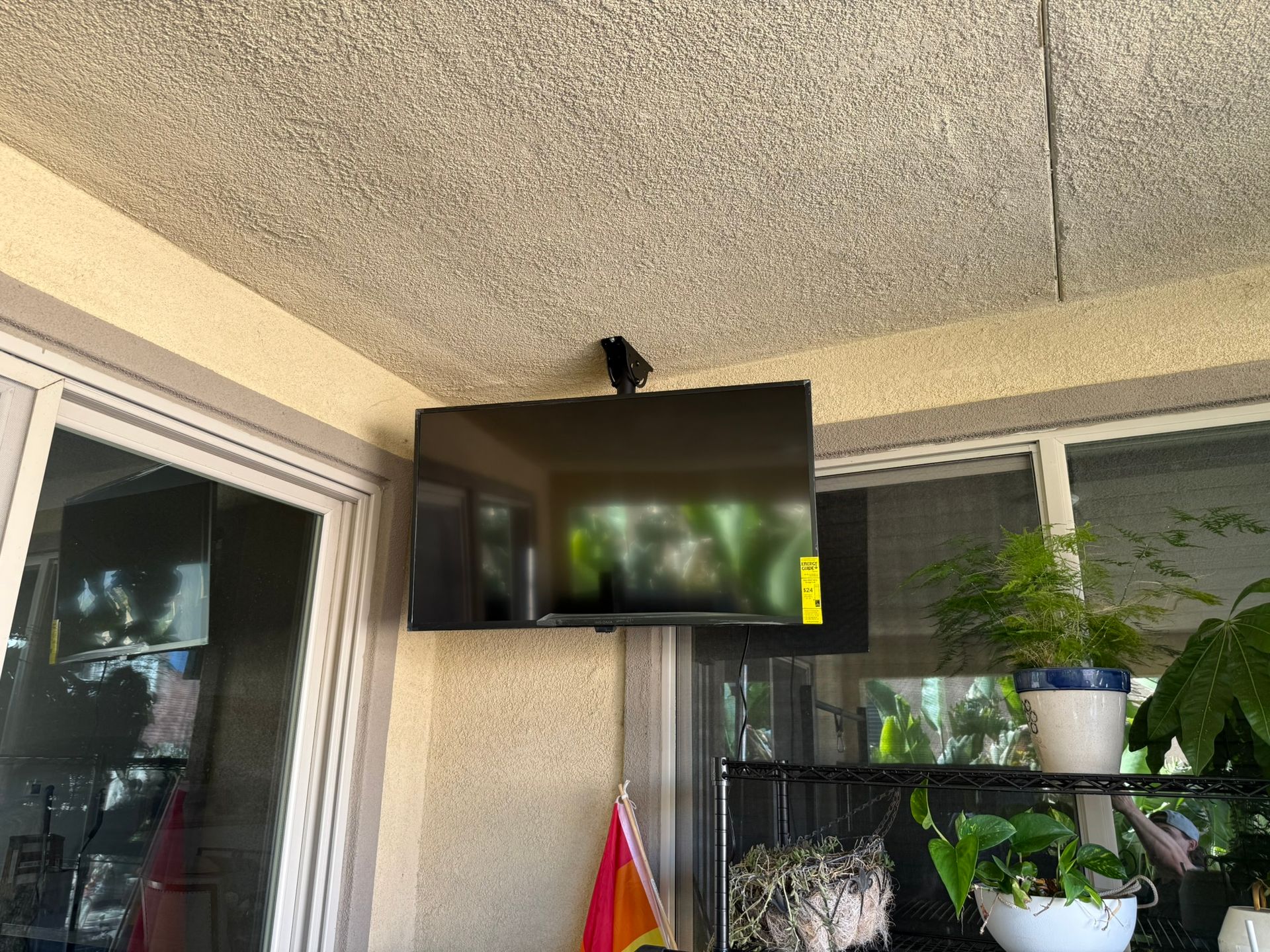 Bird perched on top of a mounted TV on a patio. Plants and a sliding glass door are visible.