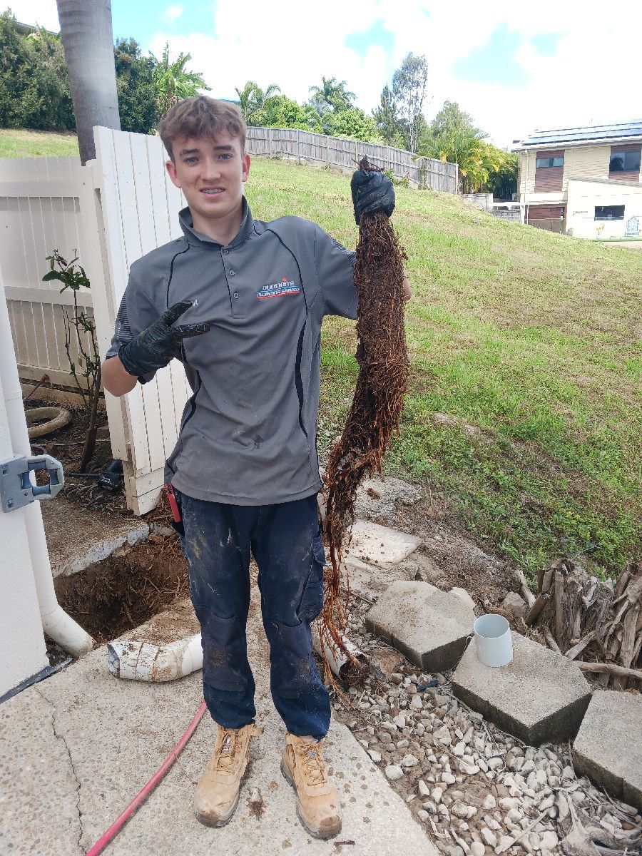 A Technician Holding a Long Mass of Tree Roots Removed From a Pipe — Dunnrite Plumbing Services in Cannonvale, QLD