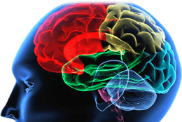 DR. ANTONIO GUAPO MENDOZA - Tratamientos neurológicos