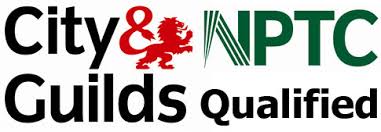 City & Guilds NPCT qualified
