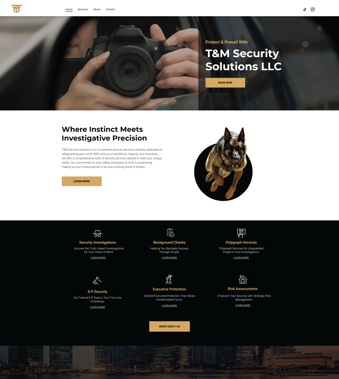 A website for T&M Security Solutions LLC