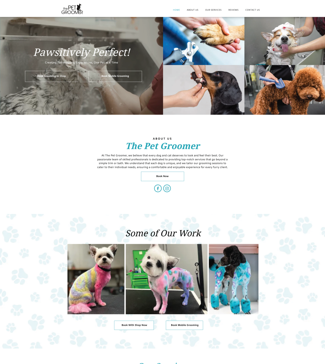 The homepage of the website for The Pet Groomer.