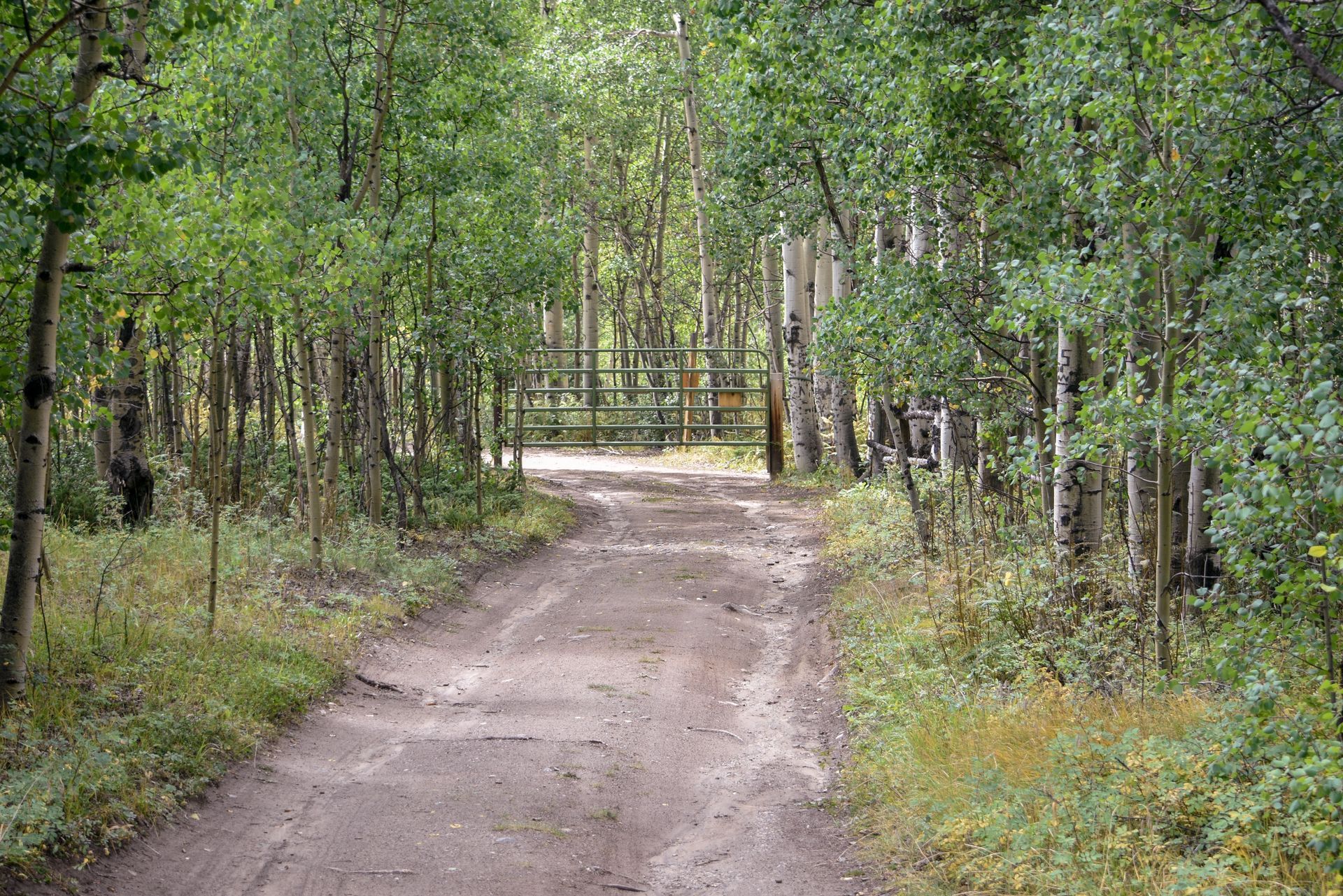 Dirt path leading through a wooded area to a wooden gate
