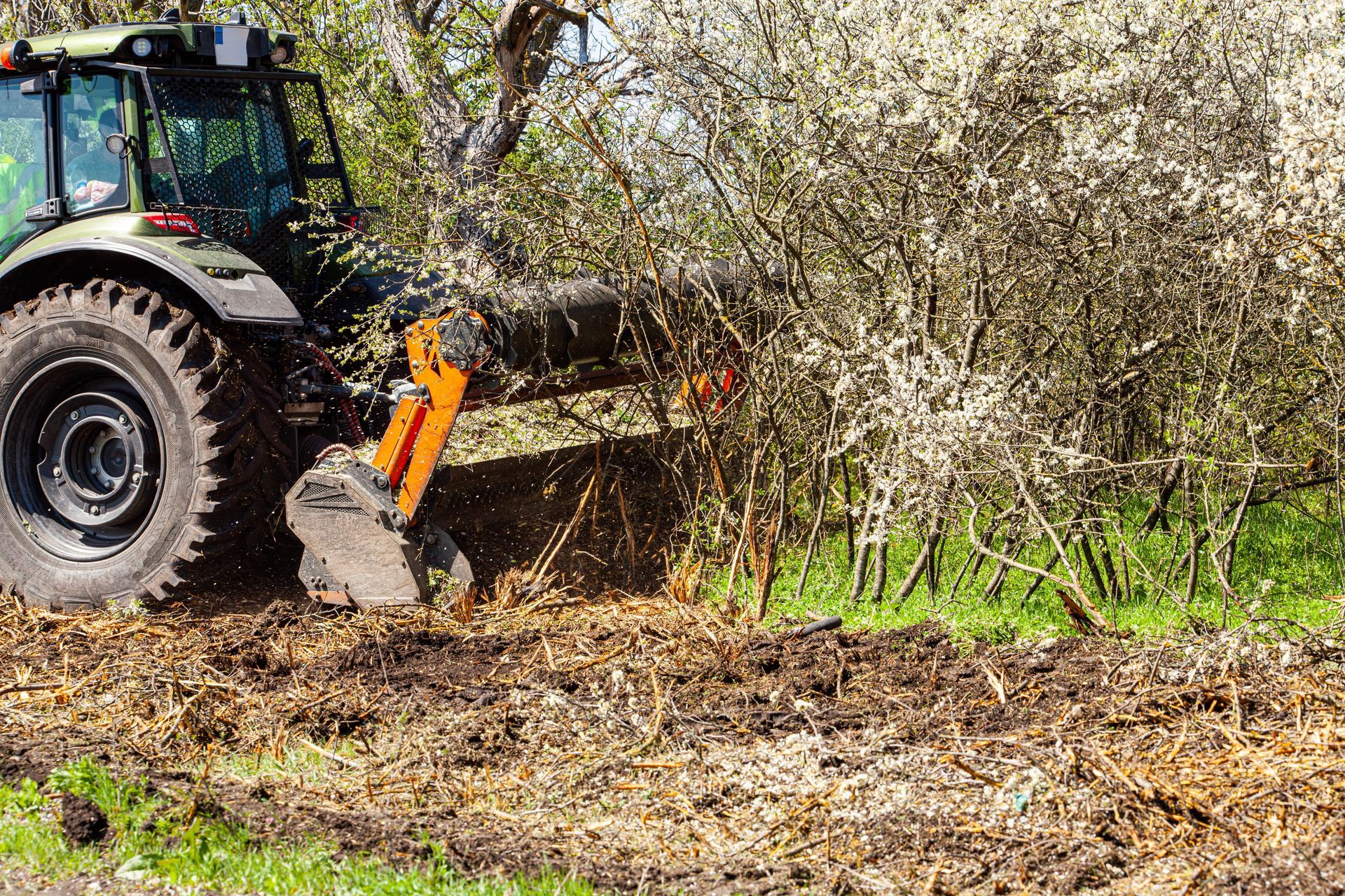 Tractor clearing brush in a field beside dense trees and shrubs