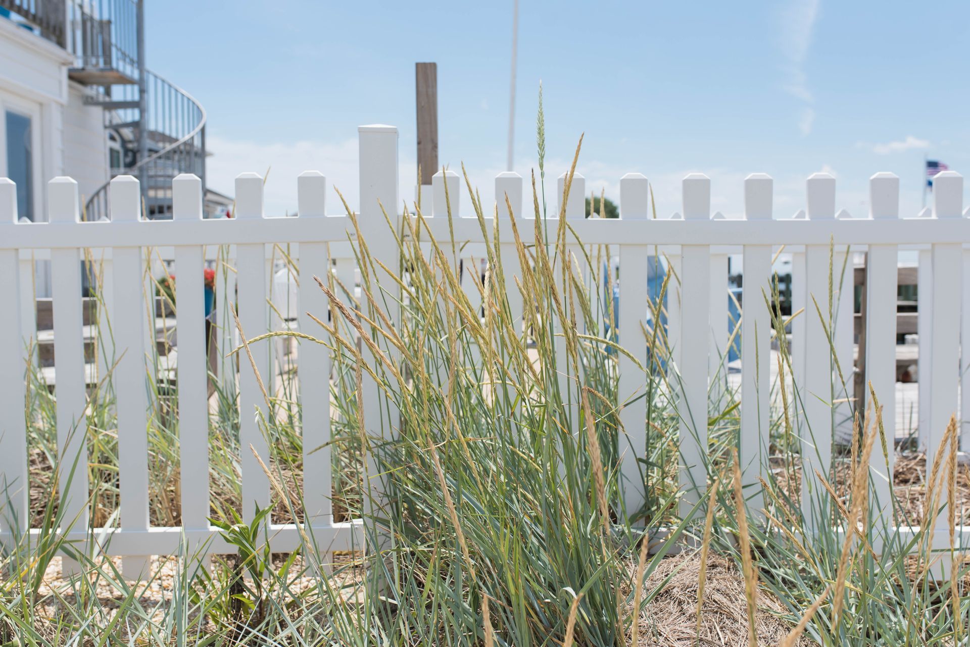 White picket fence behind beach grass under a bright blue sky