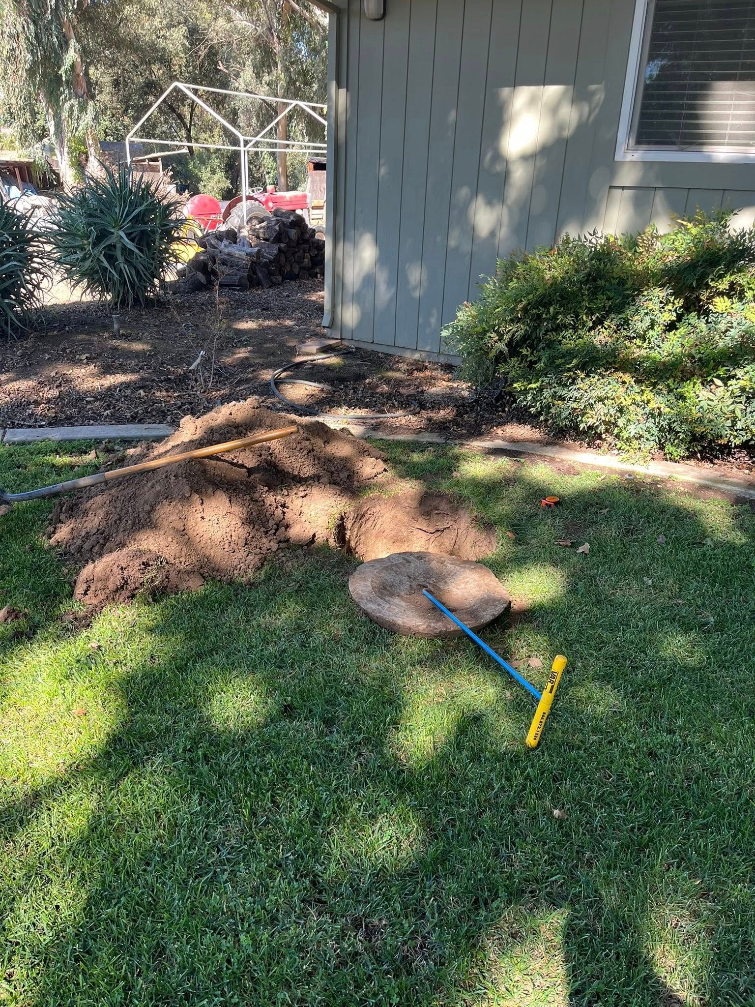 Shovel on grass beside a mound of dirt near a house wall and shrubs