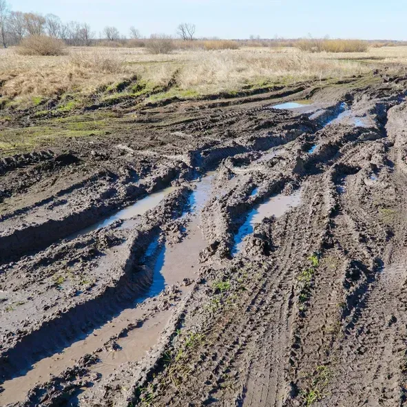 Muddy dirt road with deep tire ruts and puddles across a flat, grassy field under a clear sky