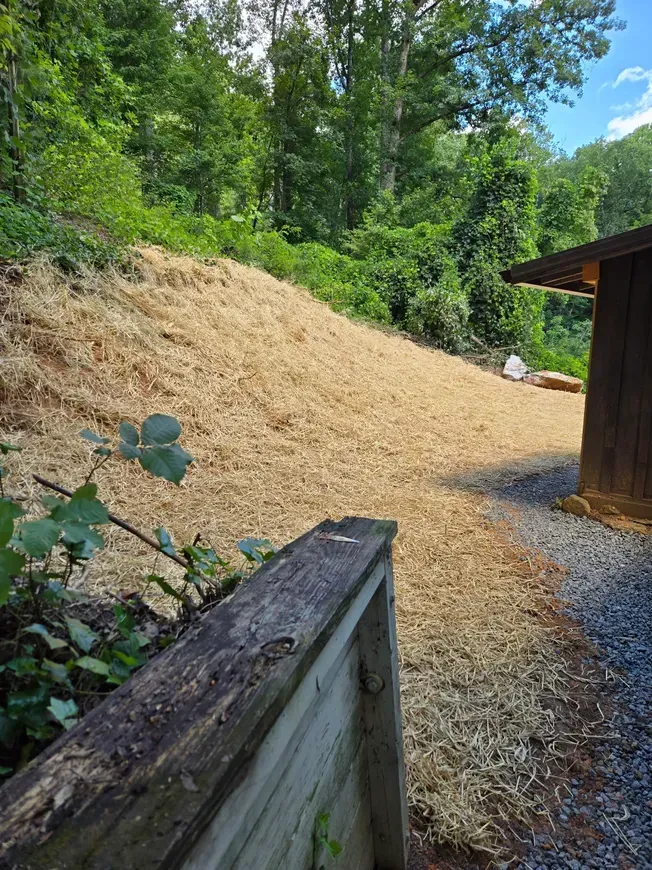 Wooded slope covered with wood chips beside a small shed and gravel path