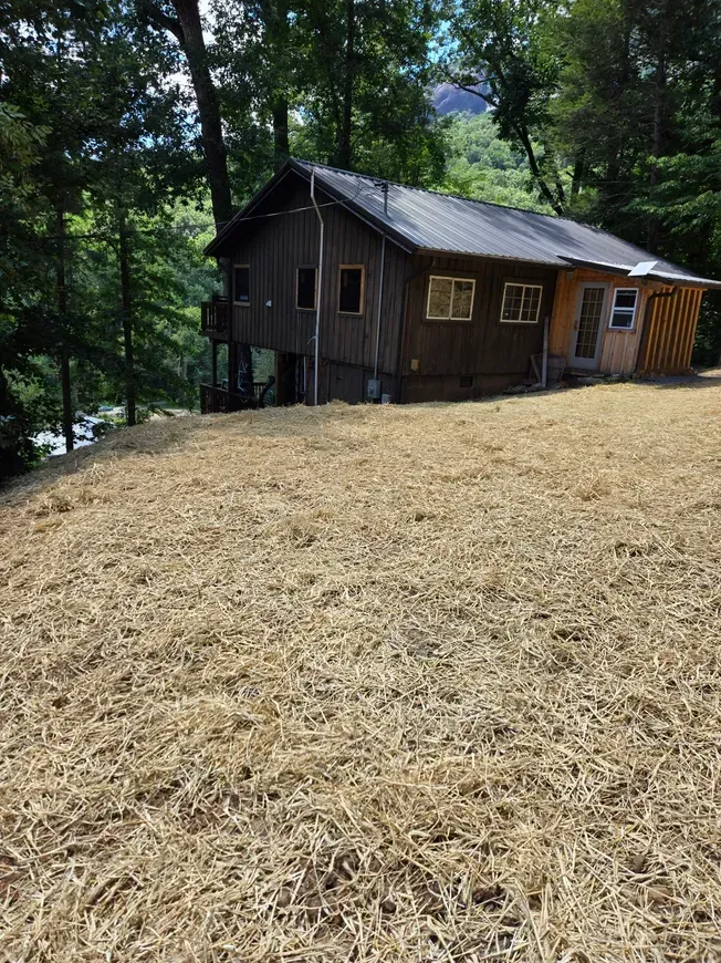 Wooded hillside with a small brown cabin and a wide straw-covered clearing.