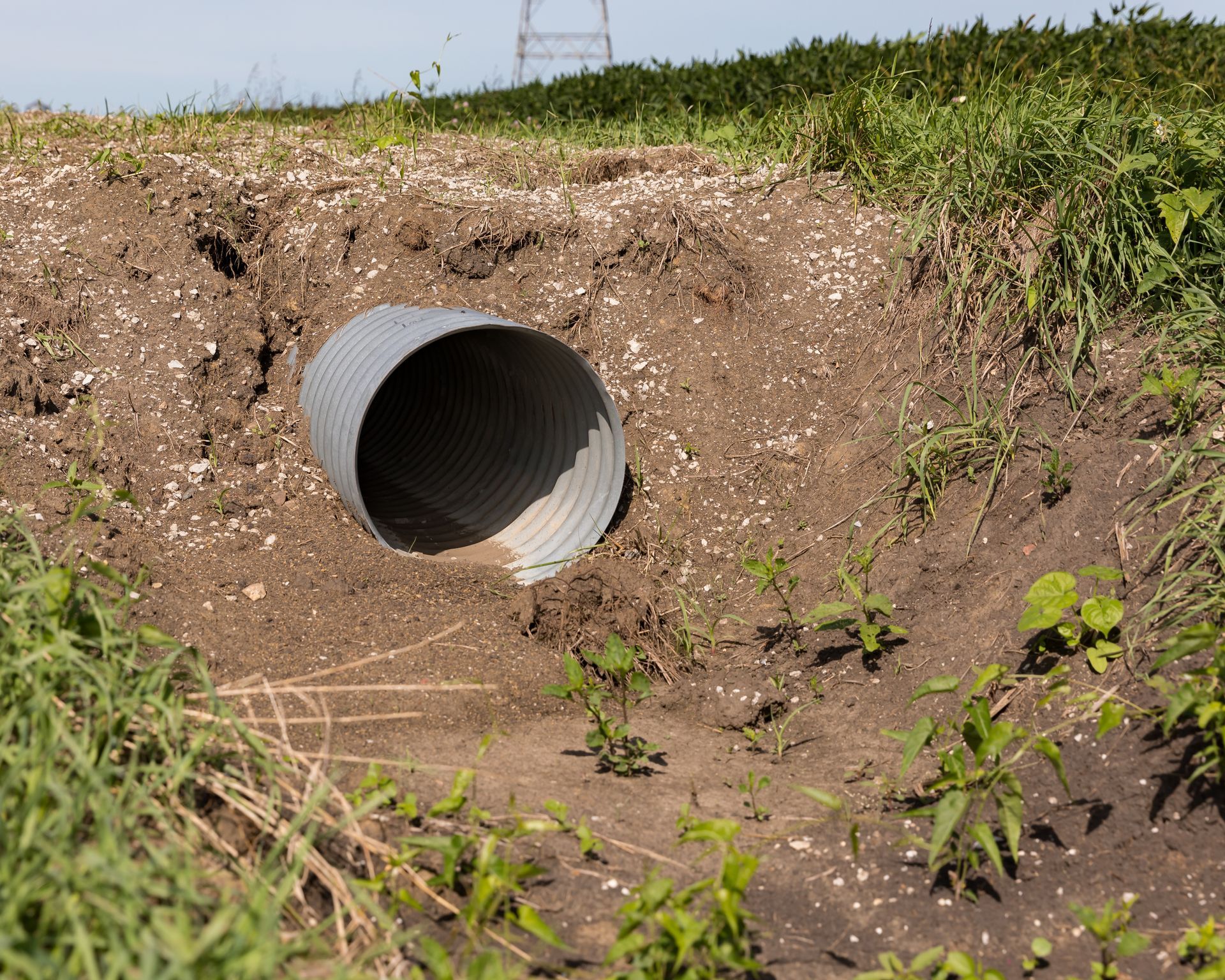 A corrugated metal culvert pipe opening in a dirt embankment, surrounded by sparse grass.
