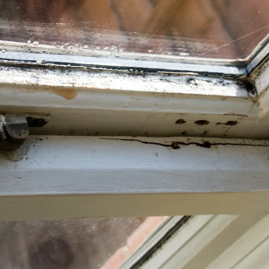 Close-up of a dirty white window frame with peeling paint and mildew along the sill