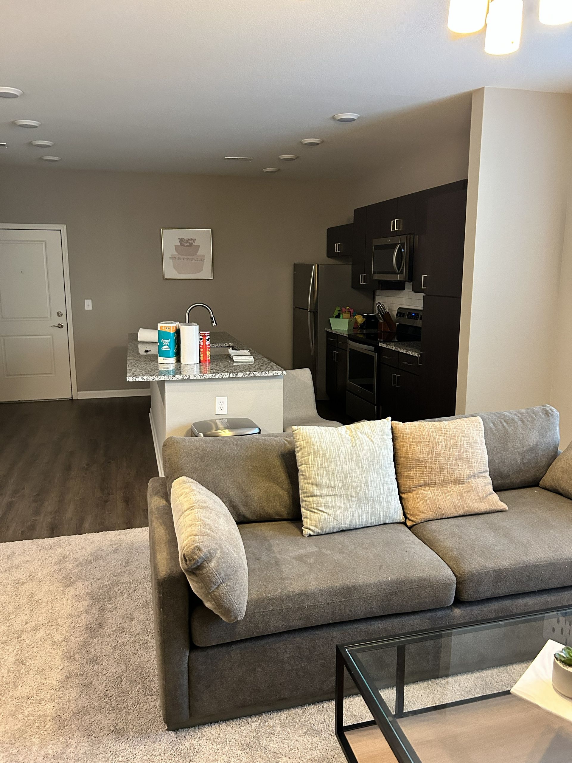 Modern living room with gray sofa, coffee table, kitchen island, and dark wood shelving.