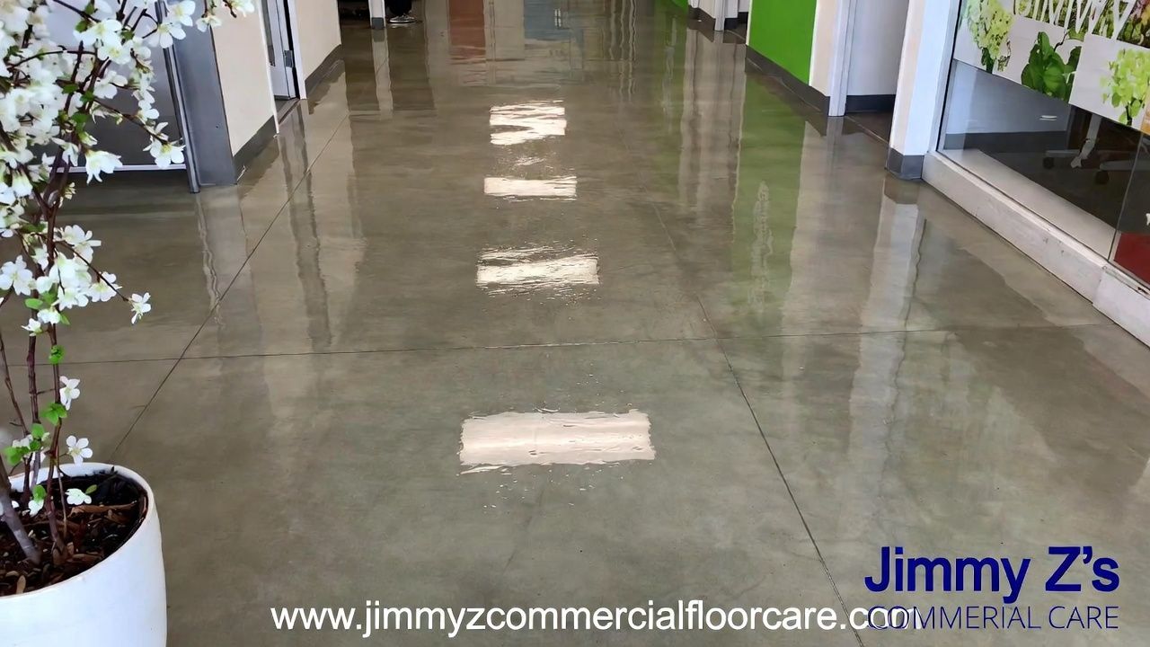 A polished, reflective concrete hallway floor with white rectangular light reflections and a plant in the corner.