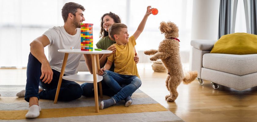 Family plays with a dog in a living room. 