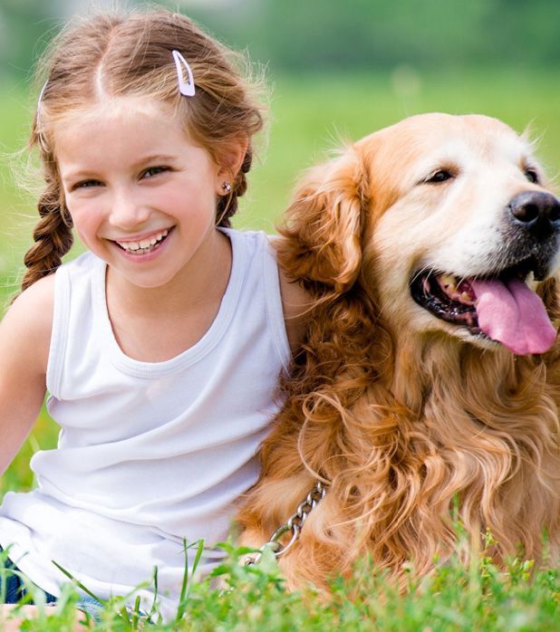 A smiling child with braids sits in a grassy field next to a golden retriever with its tongue out. A smiling child with braids sits in a grassy field next to a golden retriever with its tongue out.