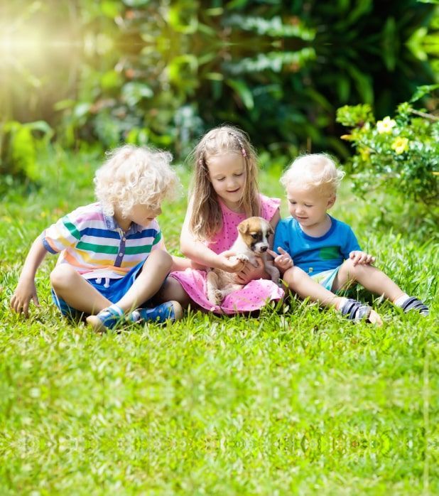 Three children sitting on a grassy lawn together, happily petting a small puppy. Three children sitting on a grassy lawn together, happily petting a small puppy.