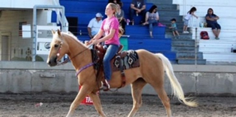 A woman in a pink shirt is riding a horse