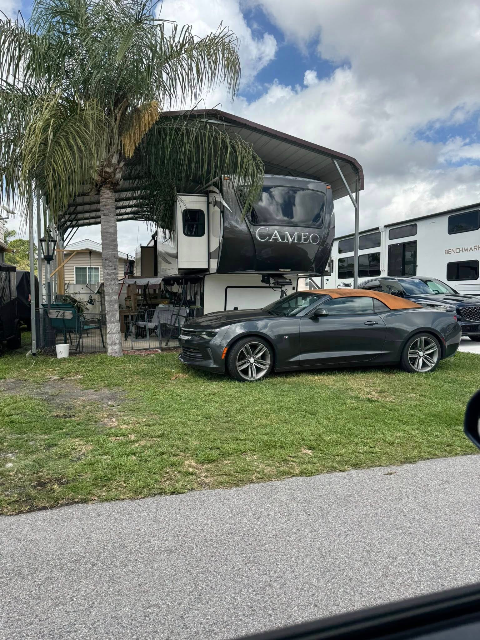 Black pickup camper parked on a lawn beside a palm tree and a gray car in front of white buildings.