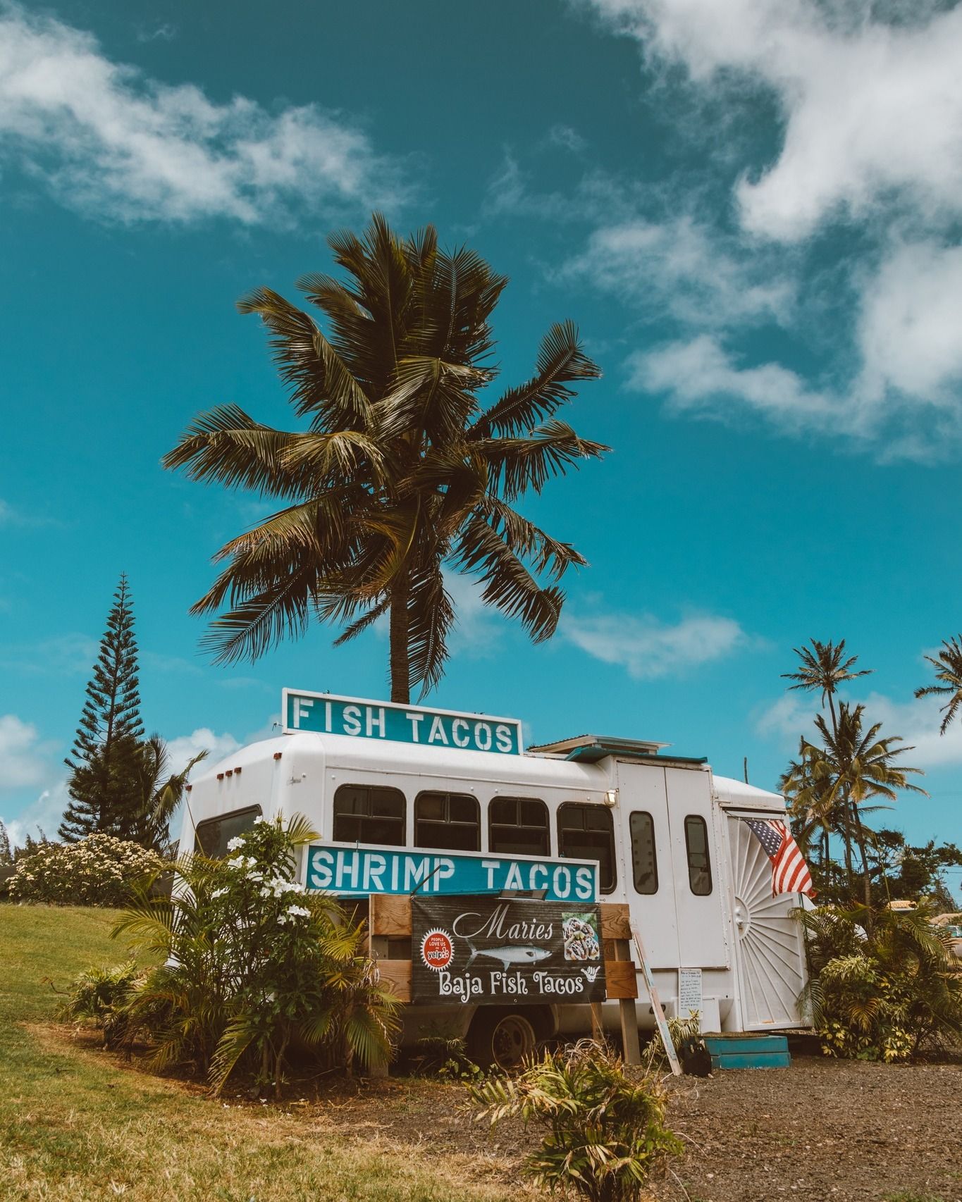 Seafood Wholesale Western Carolinas 8648678097