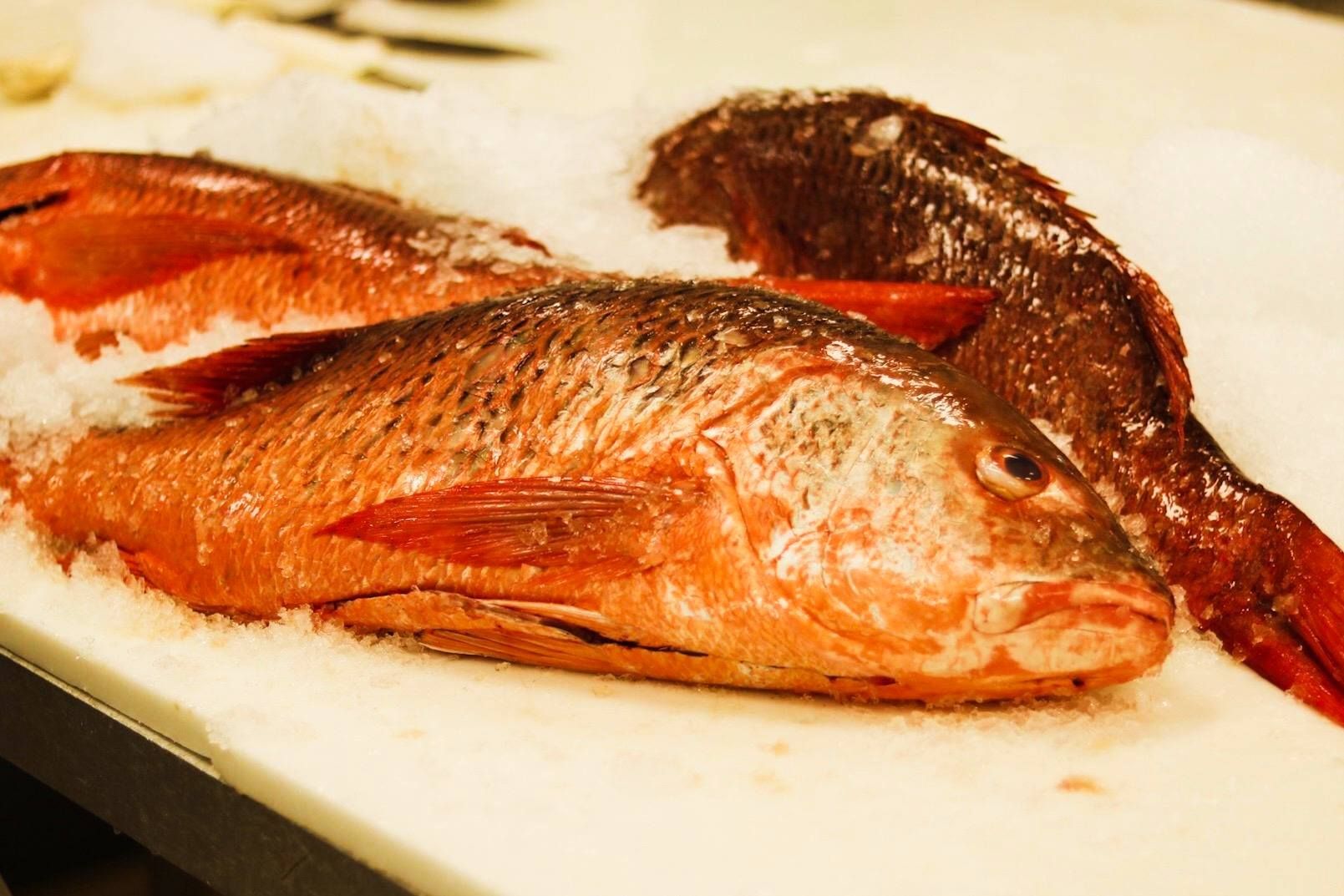 Seafood Wholesale Western Carolinas 8648678097