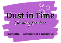 Dust In Time Logo