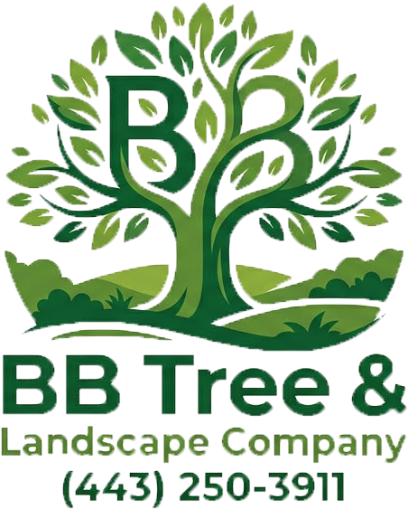 Logo for BB Tree & Landscape Company featuring a stylized green tree with "BB" in the canopy and phone number below.