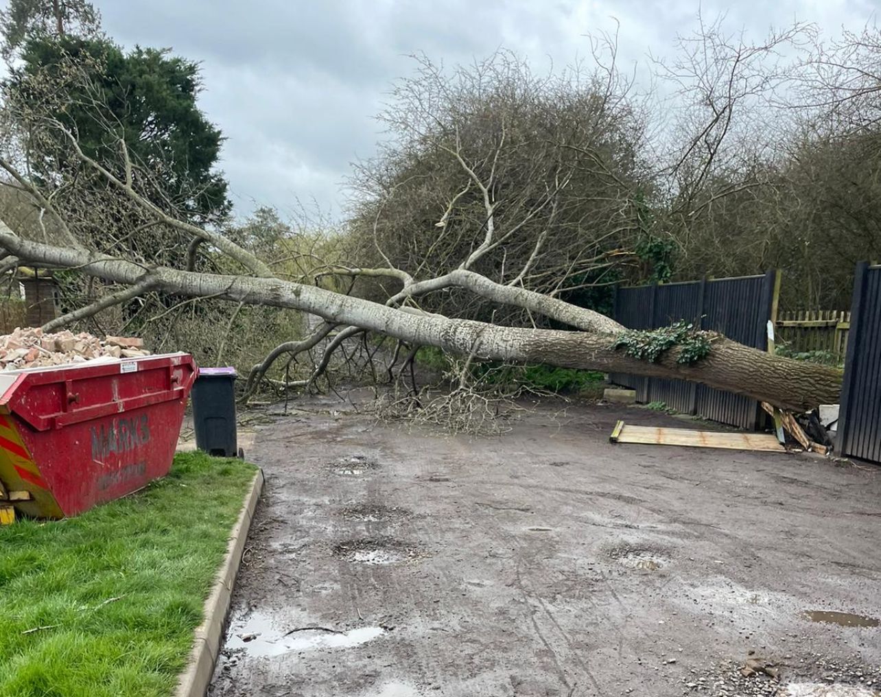 tree surgeons in Derby performing emergency tree services