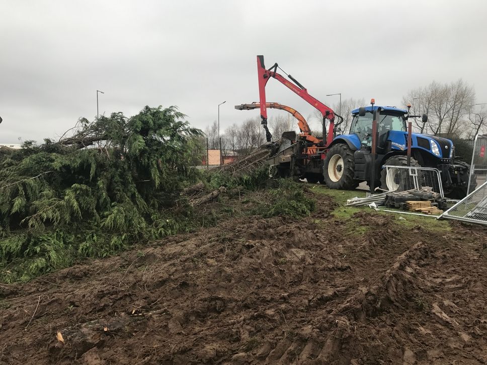 tree sectional dismantling service