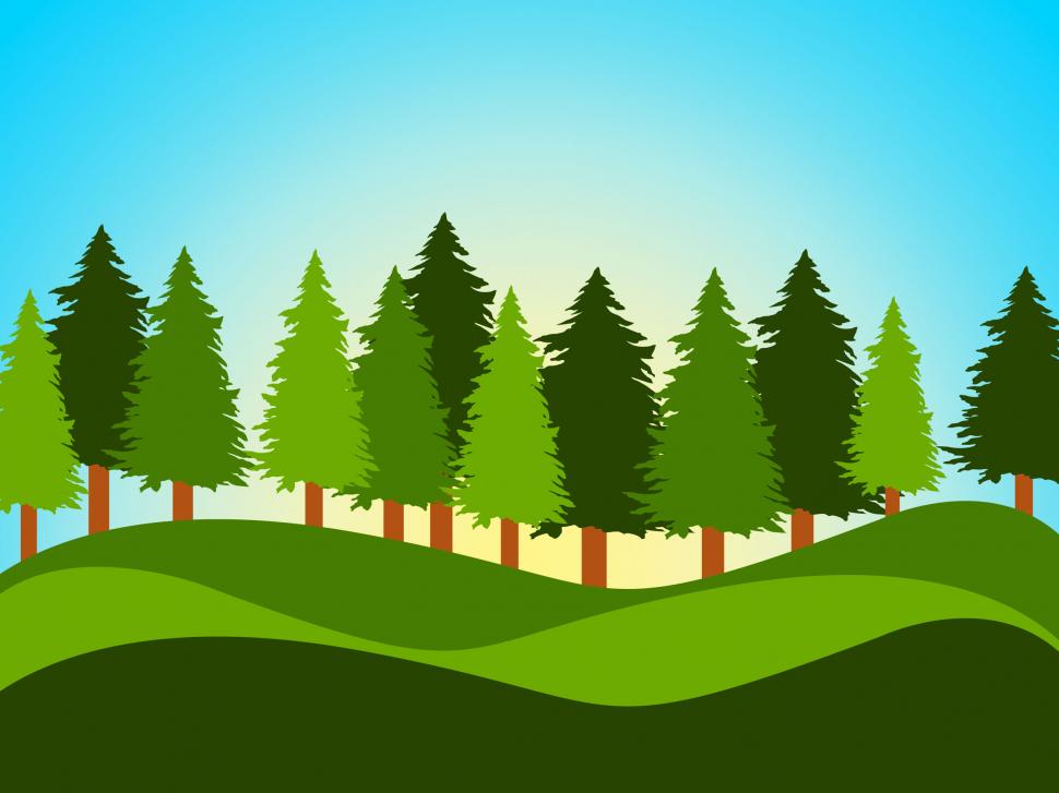 planted trees