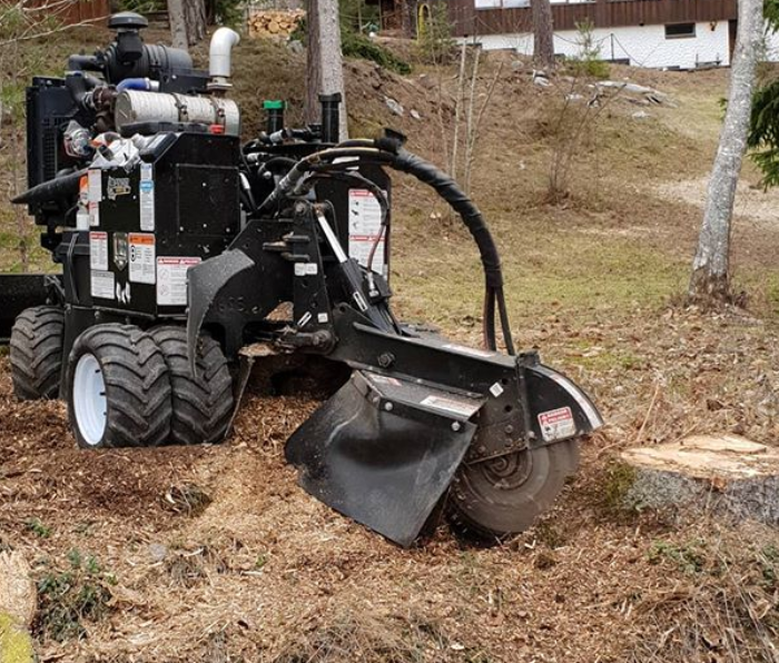 Tree Stump Removal Nottingham | Stump Grinding