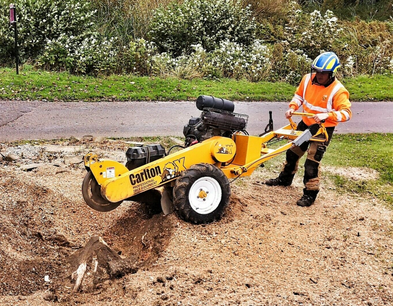 nottingham tree surgeons performing stump grinding, stump removal using stump grinder