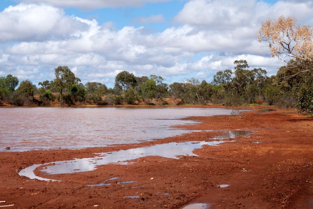 Water Edge In Cobar — Towing Service In Cobar, NSW
