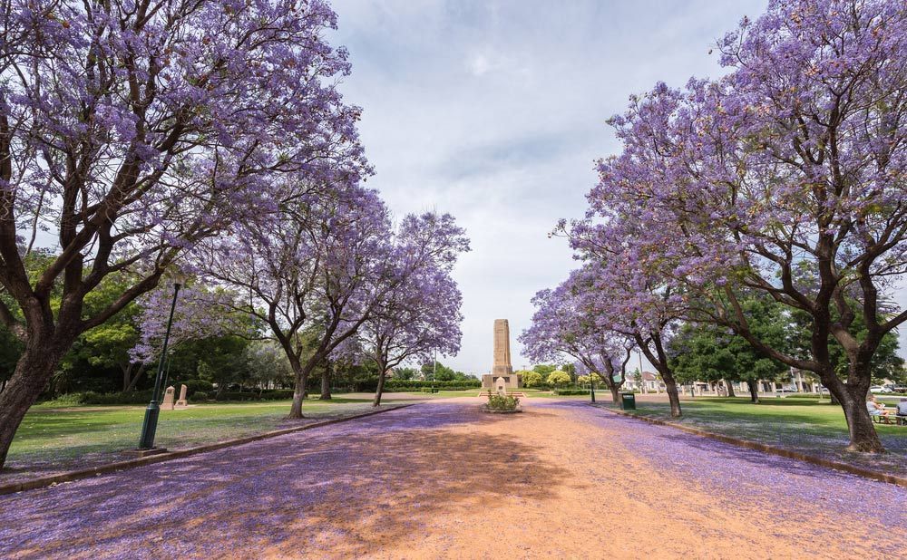 Park In Dubbo — Towing Service In Dubbo, NSW