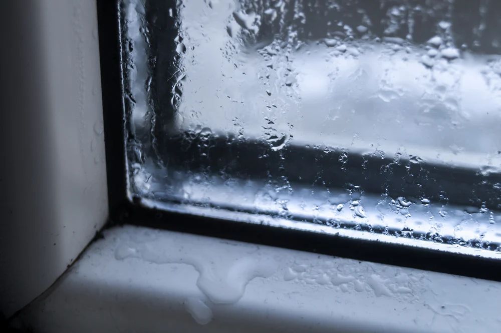 Window With Leaks and Mold