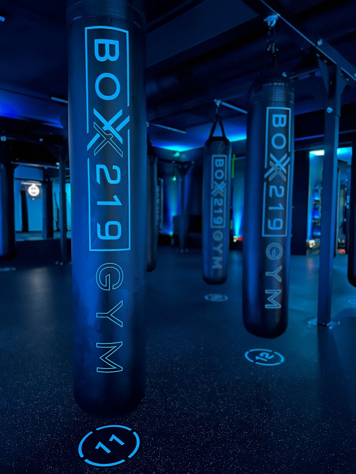 Boxing gym with blue-lit heavy bags labeled 