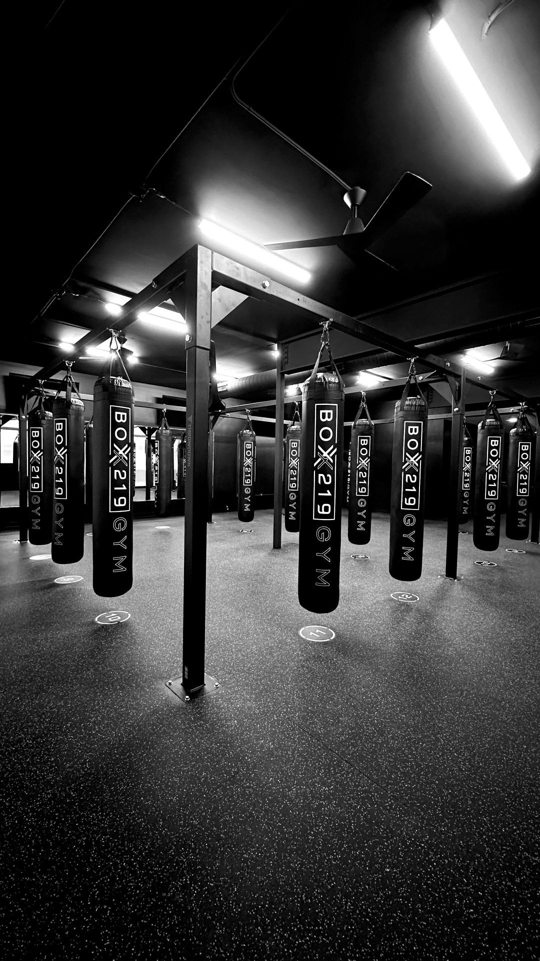 Black and white boxing gym interior, multiple heavy bags suspended from ceiling.