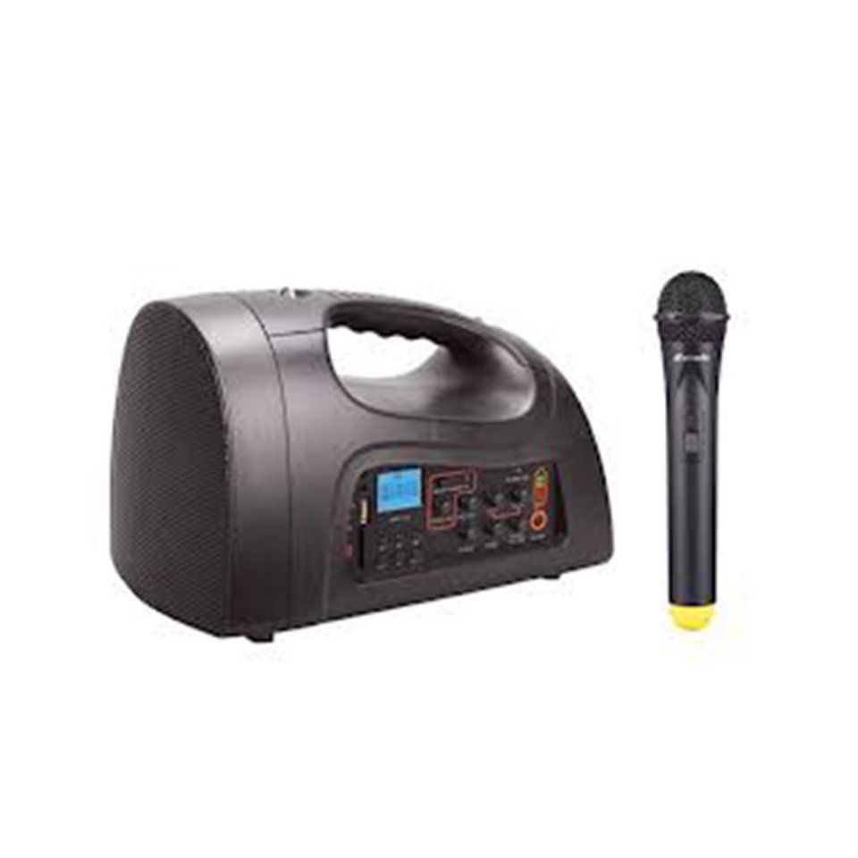 Amplificatore portatile