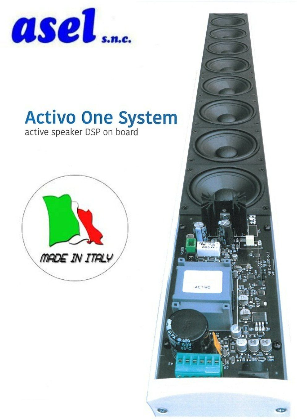 Amplification system