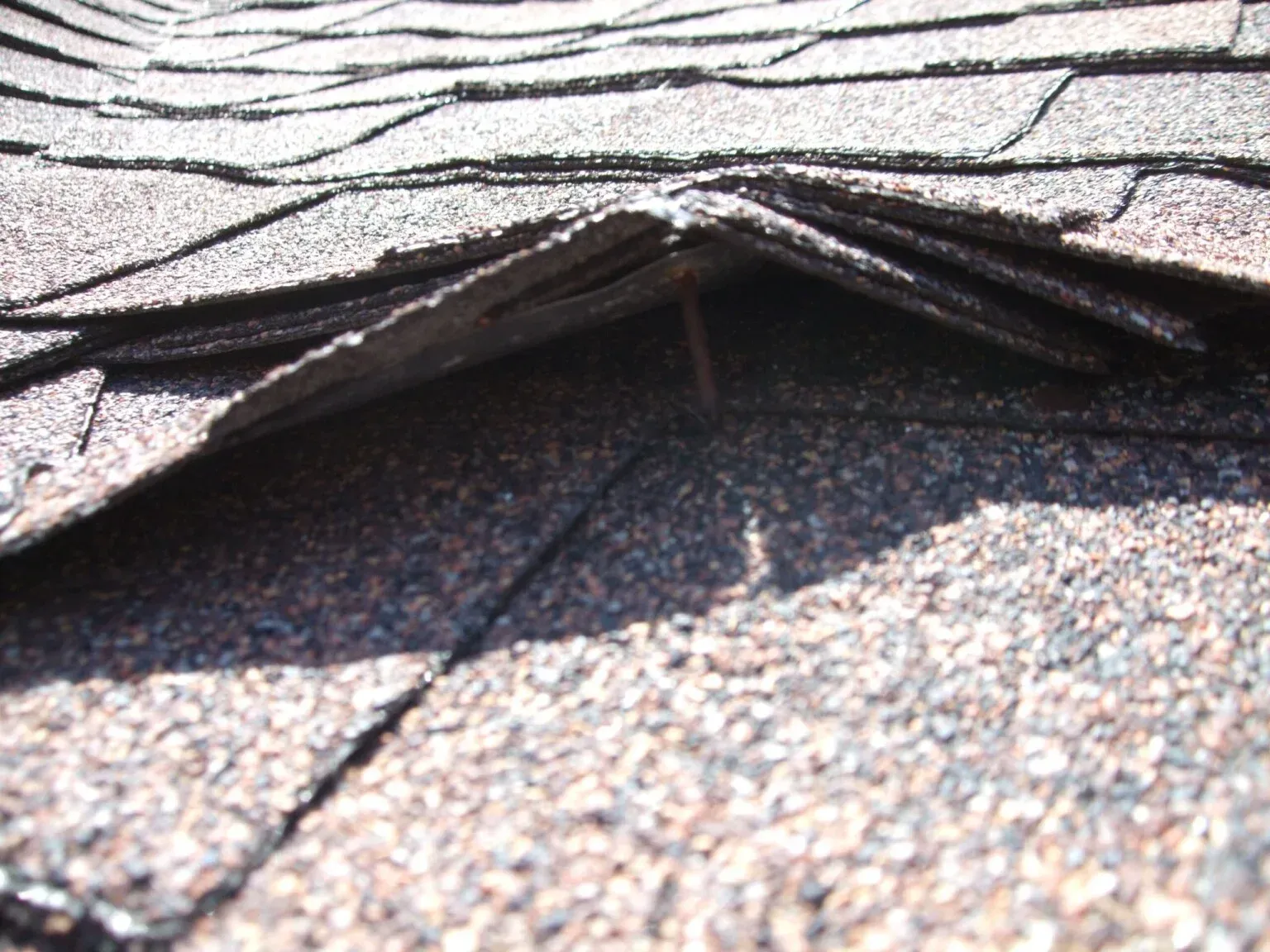Lifted Shingles on a Roof in Pasadena, MD fixed by local Roofing Company Four Seasons Roofing