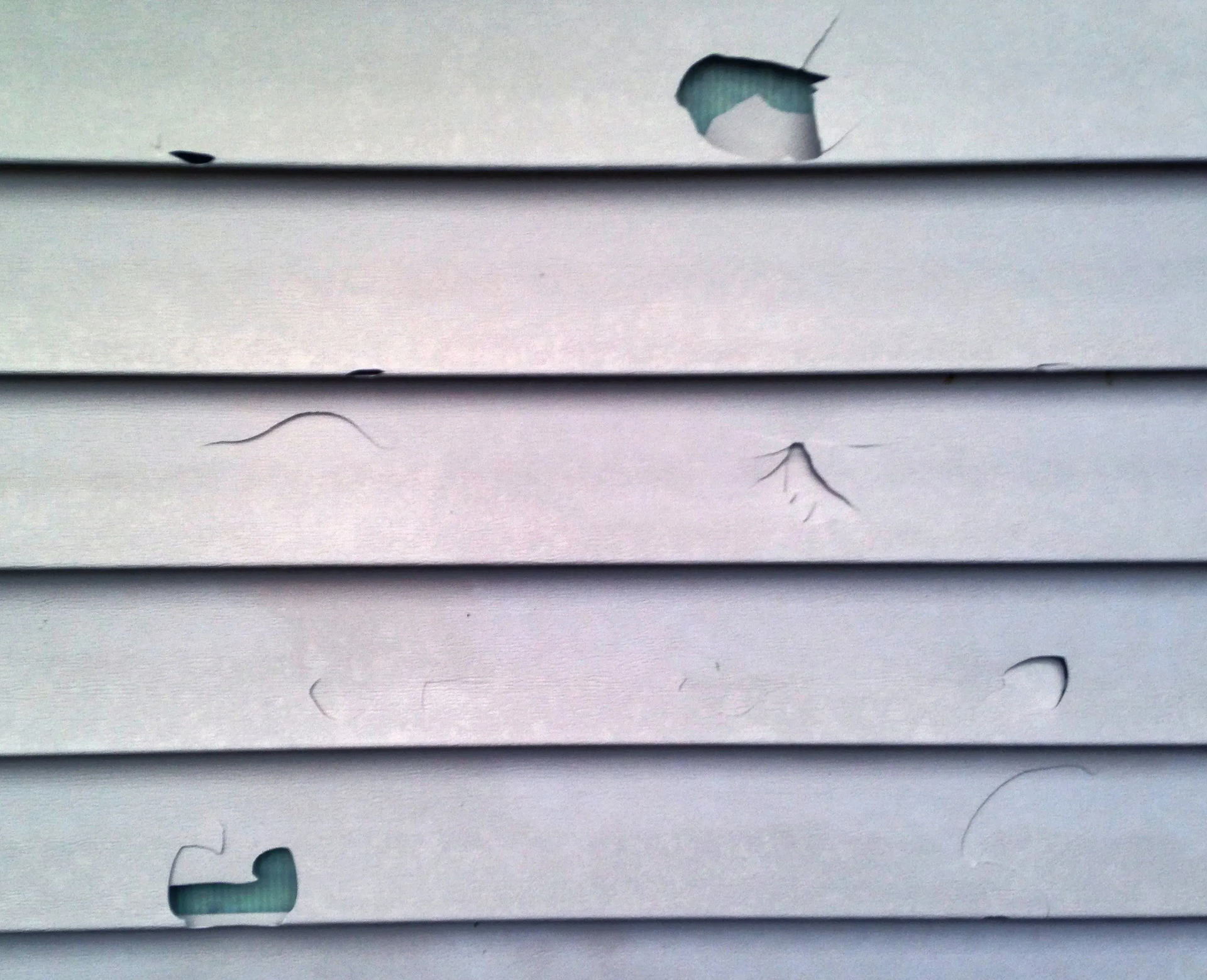 Close-up of weathered, peeling light-colored siding, revealing a teal-colored layer beneath.