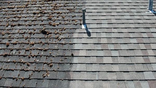 Roof Warning Signs - Roofing in Finksburg, MD - Four Seasons Roofing