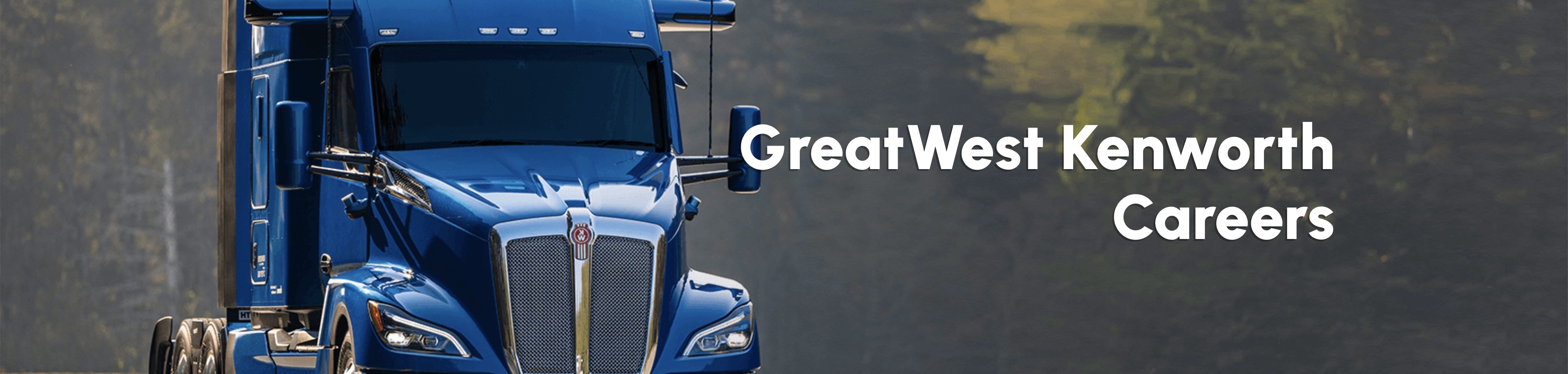 the grille of a black car