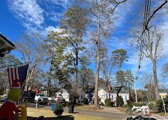 A residential neighborhood with a lot of trees and houses on a sunny day.