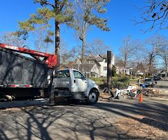 A white truck is parked on the side of the road next to a tree.