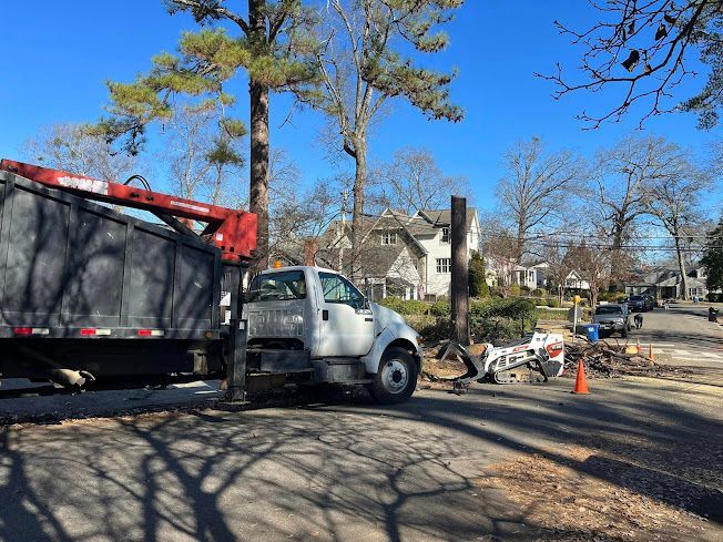 A white truck is parked on the side of the road next to a tree.
