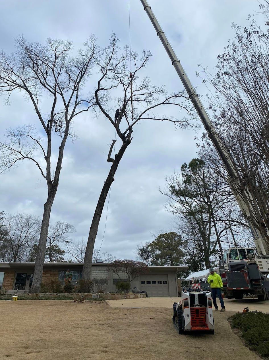 A crane is cutting a tree in front of a house.