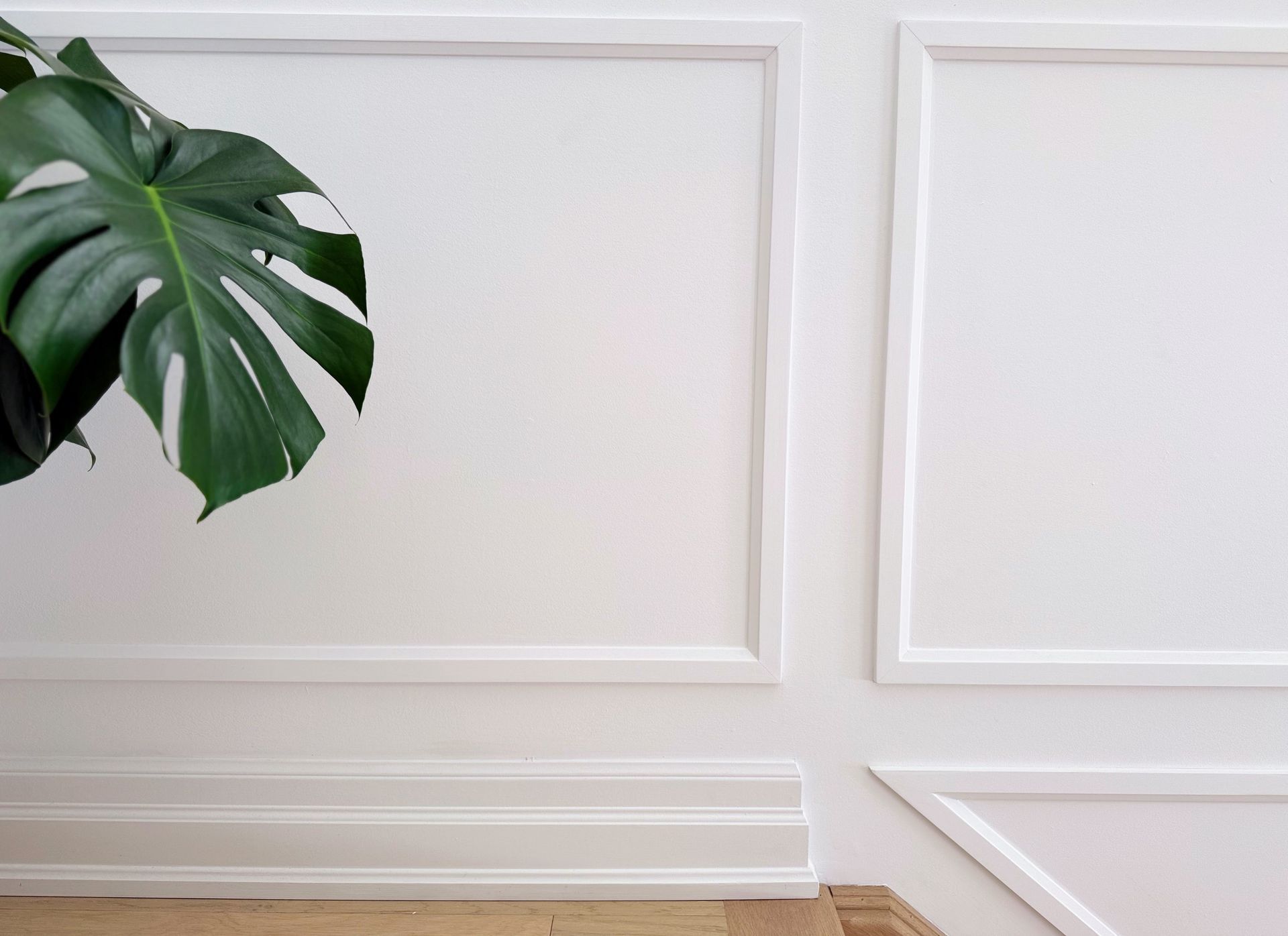Decorative wall moulding detail in a modern interior