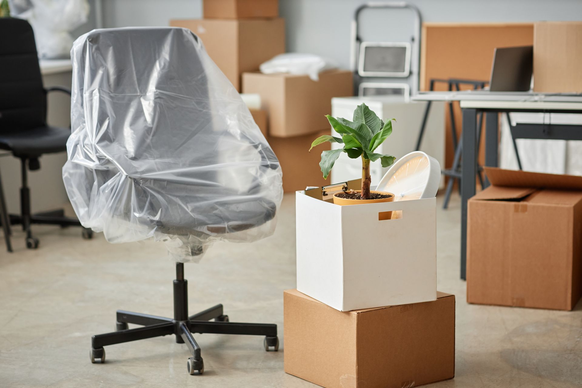 Plastic-covered office chair beside a small plant on a cardboard box in a room with moving boxes