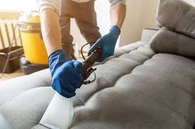 Cleaning Couch