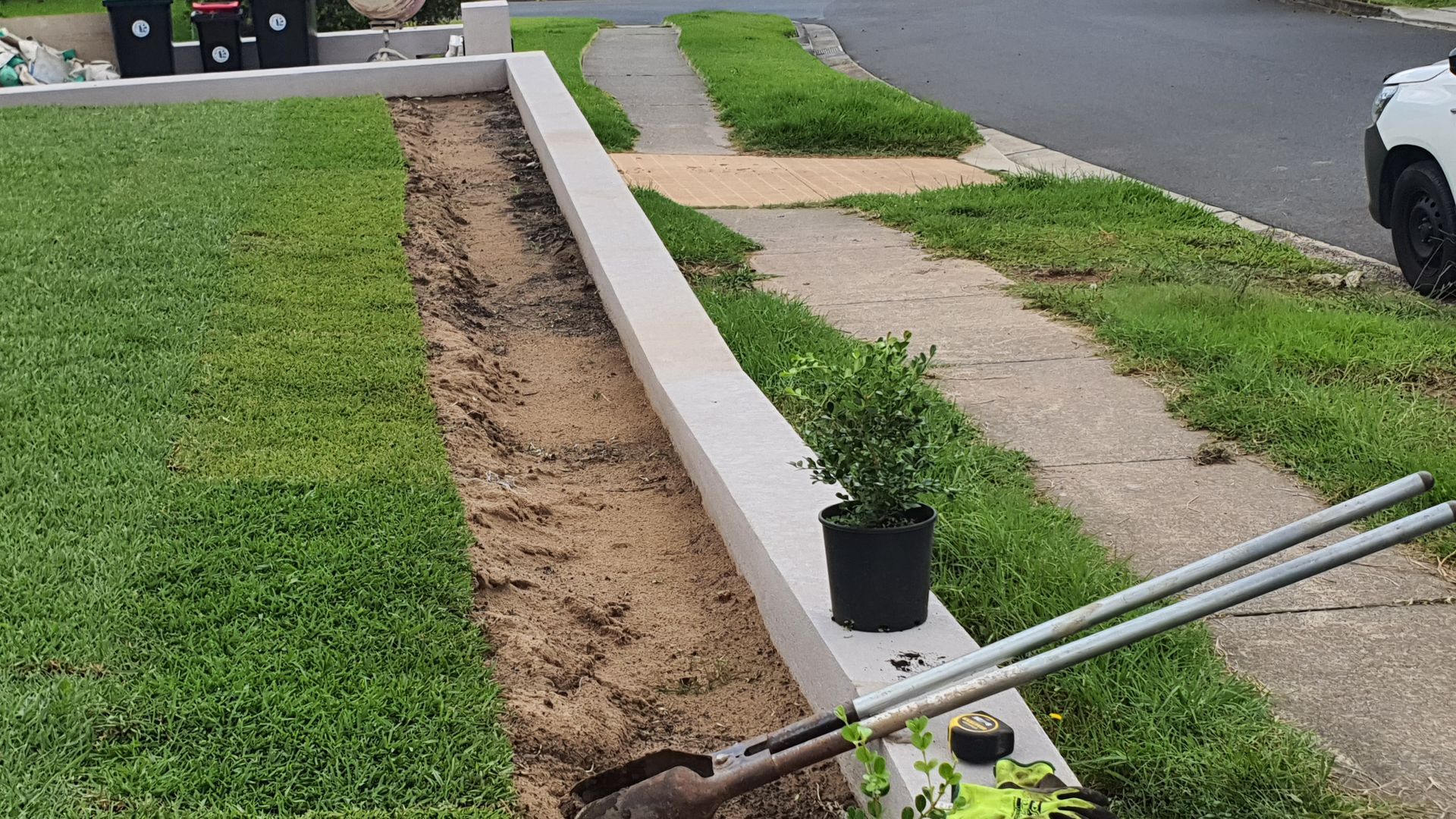 A couple of potted plants are sitting on a sidewalk next to a fence.